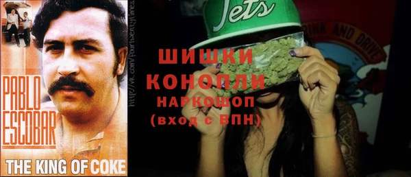 соль ск Вяземский