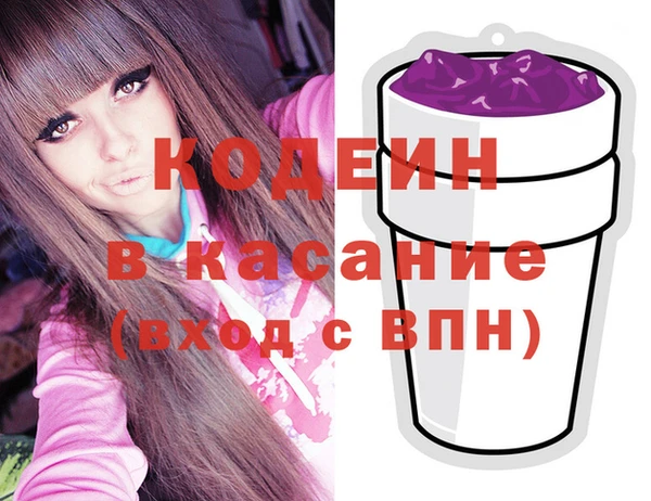 соль ск Вяземский