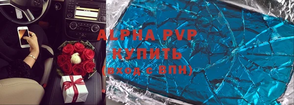 стаф Вязьма