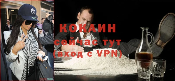 стаф Вязьма