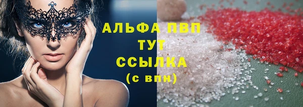 крисы Дегтярск