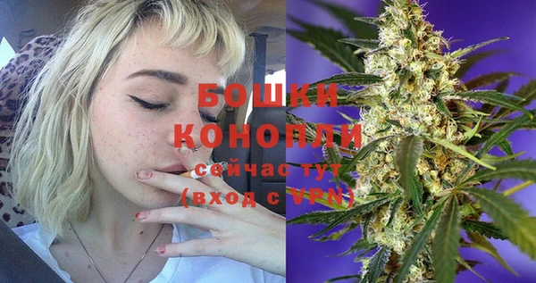 соль ск Вяземский