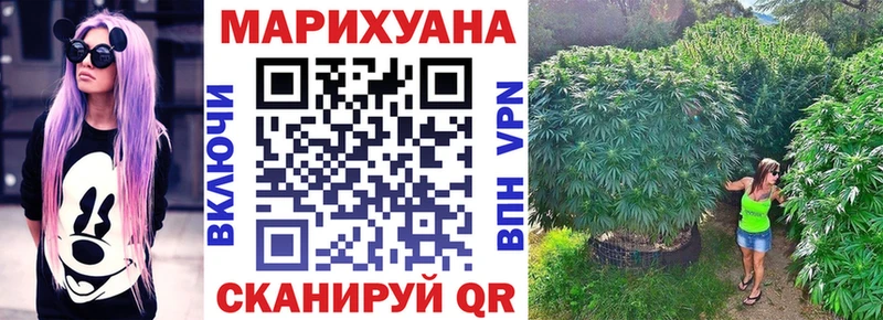 наркошоп  Мезень  Бошки Шишки сатива 